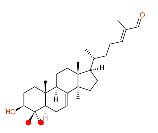 Highlighting Structural diagram
