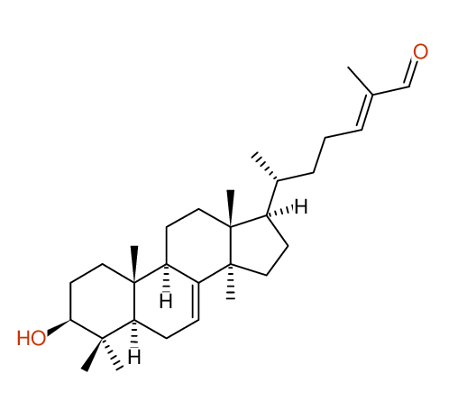 Highlighting Structural diagram
